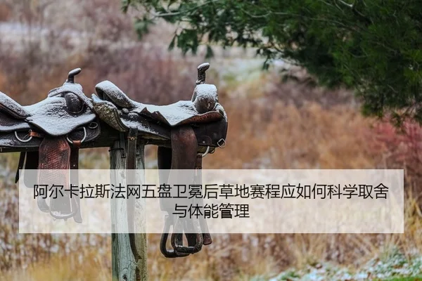 阿尔卡拉斯法网五盘卫冕后草地赛程应如何科学取舍与体能管理