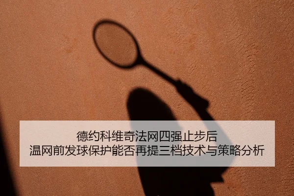 de-yue-ke-wei-qi-fa-wang-si-qiang-zhi-bu-hou-wen-wang-qian-fa-qiu-bao-hu-neng-fou-zai-ti-san-dang-ji-shu-yu-ce-lve-fen-2-468.jpg